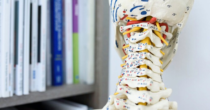 Your Body Is Sending You a Message image