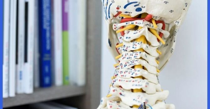 Your Body Is Sending You a Message