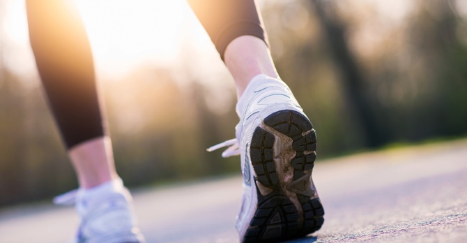 Back to Routine, Back to Alignment: Resetting Your Body for the Fall image